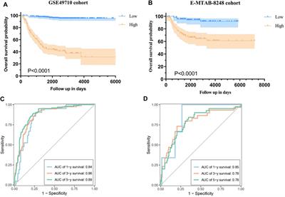 Investigation of differentially expressed genes related to cellular senescence between high-risk and non-high-risk groups in neuroblastoma